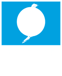 SKIDCAR System logo
