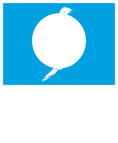 SKIDCAR System logo